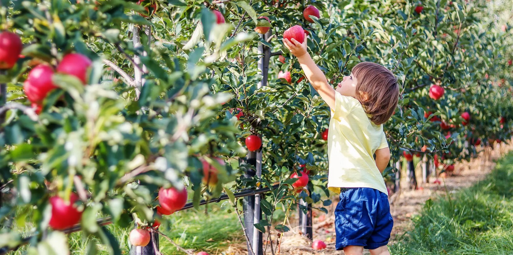 Customer Communication